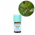 Dafin (Laur) Organic